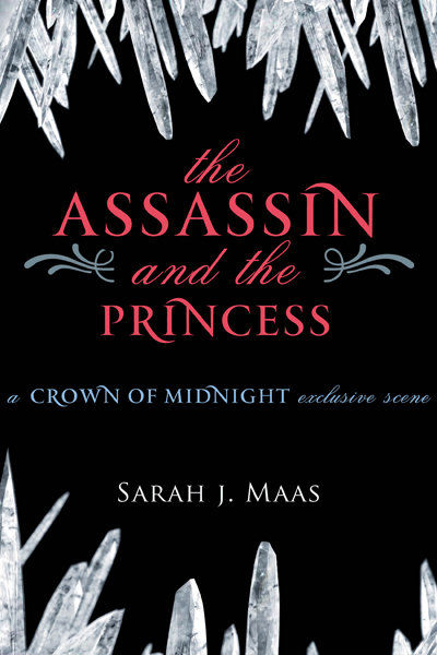 The Assassin and the Princess, Sarah J.Maas