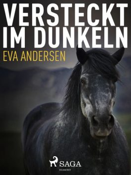 Versteckt im Dunkeln, Eva Andersen