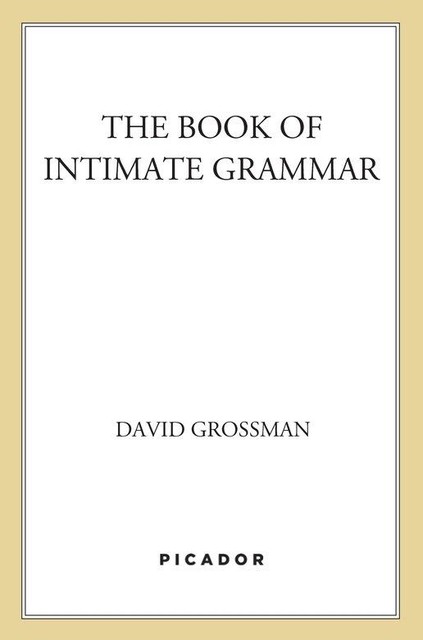 The Book of Intimate Grammar, David Grossman