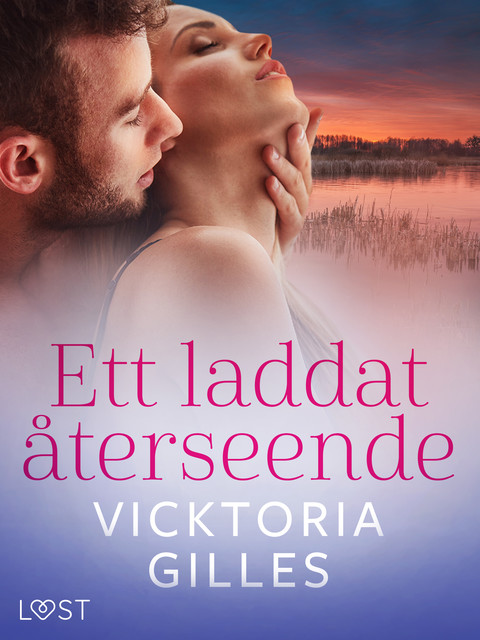 Ett laddat återseende – erotisk novell, Vicktoria Gilles
