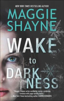 Wake to Darkness, Maggie Shayne