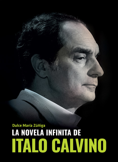La novela infinita de Italo Calvino, Dulce María Zúñiga