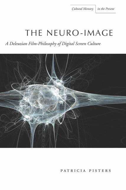The Neuro-Image, Patricia Pisters