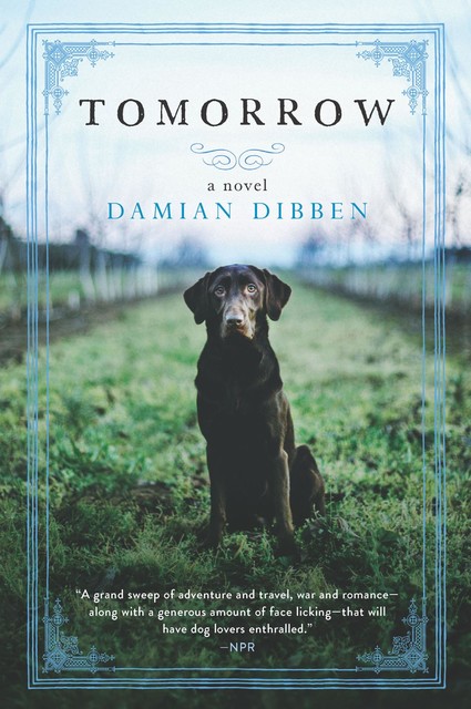 Tomorrow, Damian Dibben