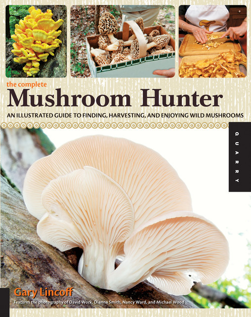 The Complete Mushroom Hunter, Gary Lincoff