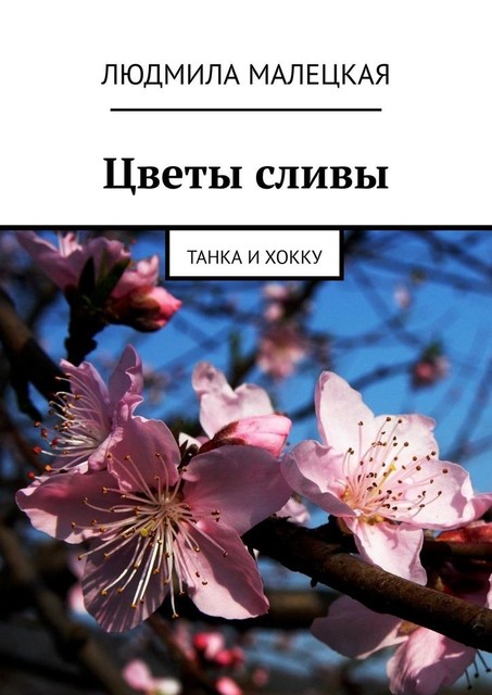 Цветы сливы. Танка и хокку, Людмила Малецкая