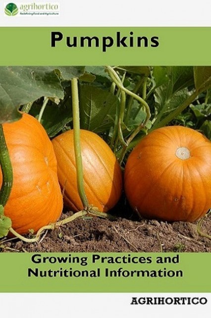 Pumpkins, Agrihortico CPL