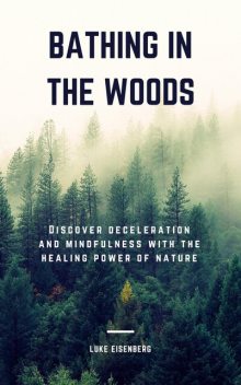 Bathing In The Woods, Luke Eisenberg