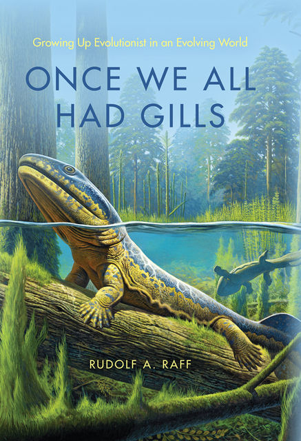 Once We All Had Gills, Rudolf A.Raff