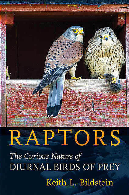 Raptors, Keith L. Bildstein