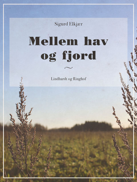 Mellem hav og fjord, Sigurd Elkjær