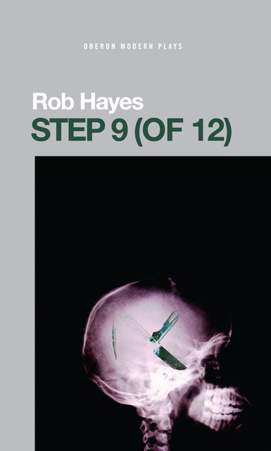Step 9 (of 12), Rob Hayes
