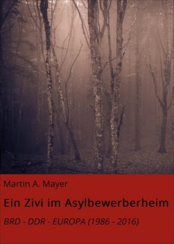 Ein Zivi im Asylbewerberheim, Martin A. Mayer