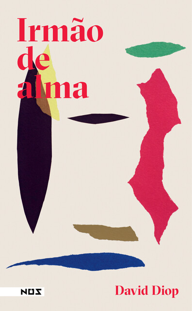 Irmão de alma, David Diop