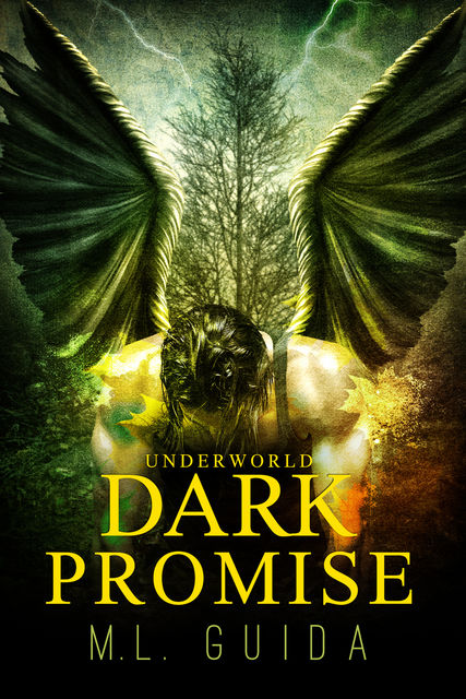 Dark Promise, M.L. Guida