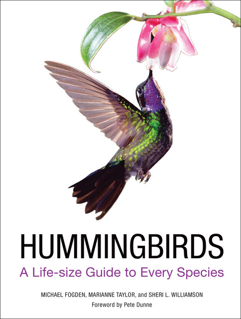 Hummingbirds, Marianne Taylor, Michael Fogden, Sheri L.Taylor