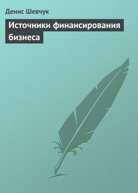 Источники финансирования бизнеса, Денис Шевчук