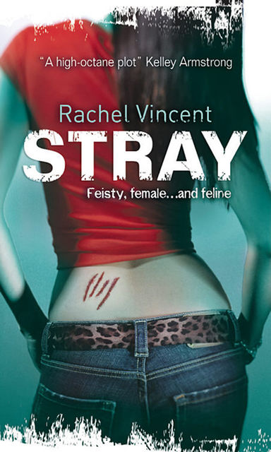 Stray, Rachel Vincent