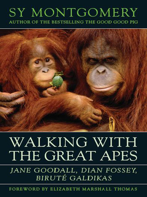 Walking with the Great Apes, Sy Montgomery