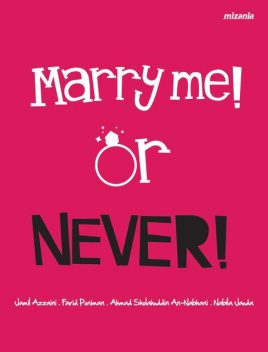 Marry me! Or Never!, Jamil Azzaini, Ahmad Sholahuddin An-Nabhani, Farid Poniman, Nabila Jauda