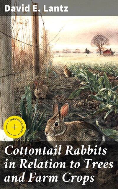 Cottontail Rabbits in Relation to Trees and Farm Crops, David Lantz