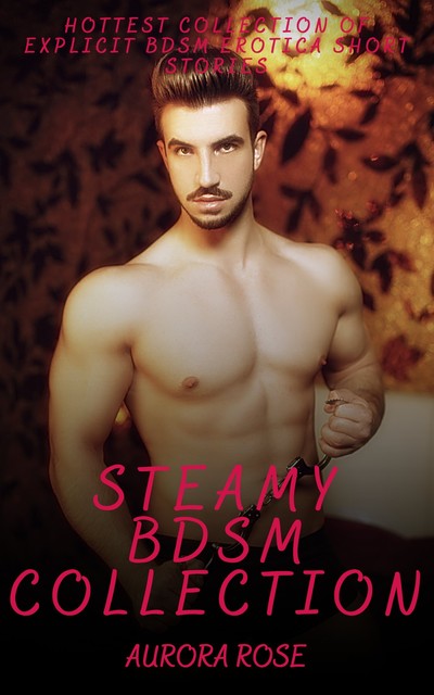 Steamy BDSM Collection – Volume 1, Aurora Rose