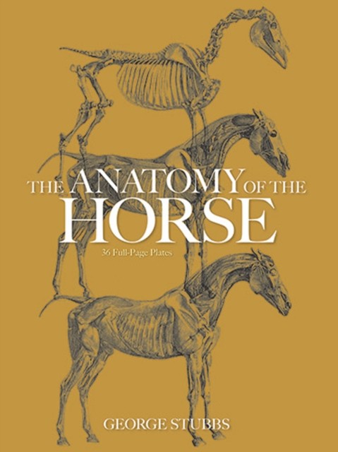 The Anatomy of the Horse, George Stubbs