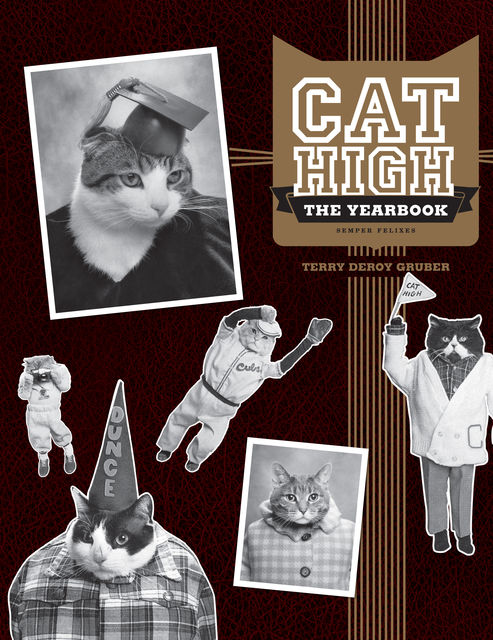 Cat High, Terry deroy Gruber
