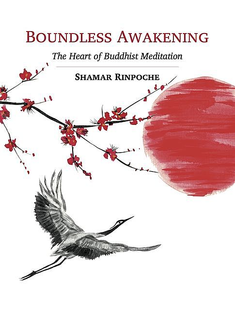 Boundless Awakening, Shamar Rinpoche