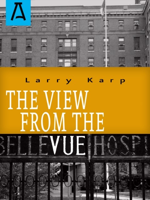 View from the Vue, Larry Karp