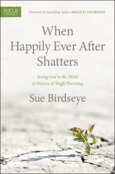 When Happily Ever After Shatters, Sue Birdseye