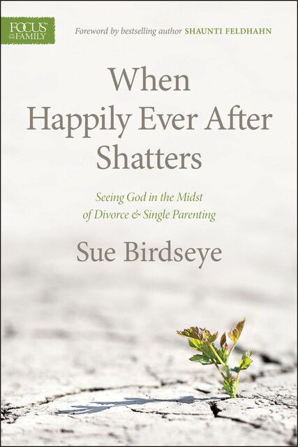 When Happily Ever After Shatters, Sue Birdseye