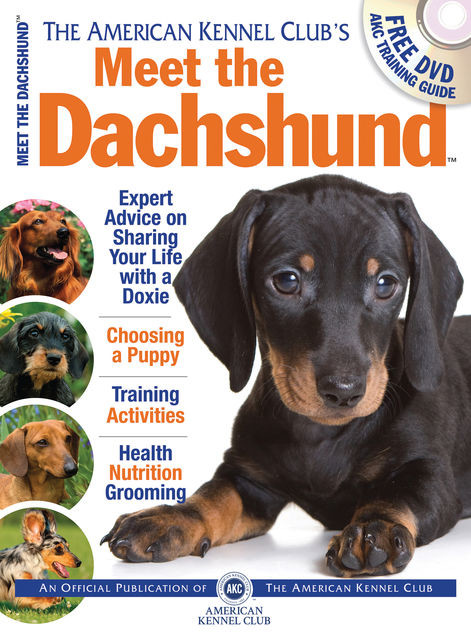 Meet the Dachshund, American Kennel Club