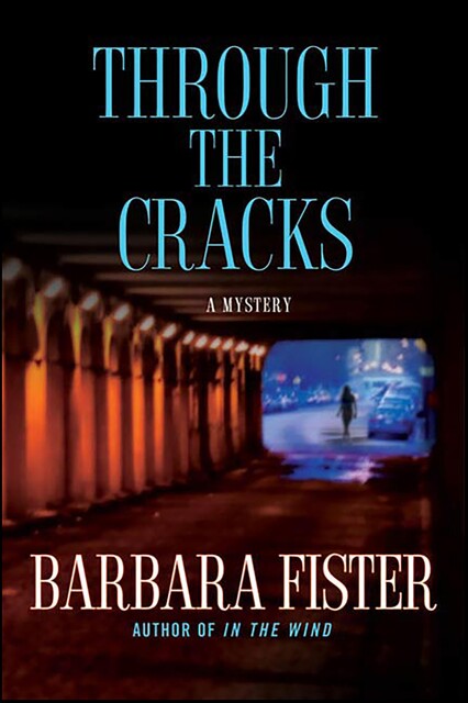 Through the Cracks, Barbara Fister