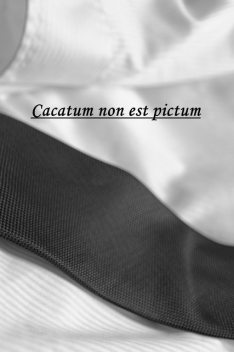 Cacatum non est pictum, Askson Vargard