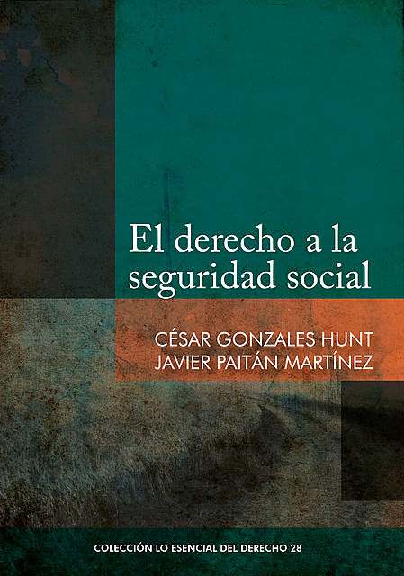 El derecho a la seguridad social, César Gonzales, Javier Paitán