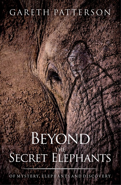 Beyond the Secret Elephants, Gareth Patterson
