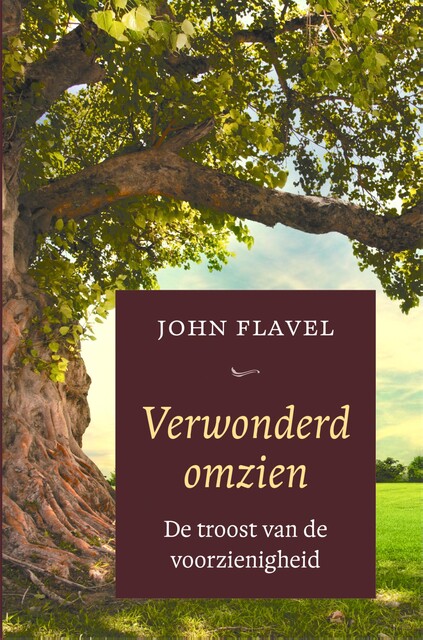 Verwonderd omzien, John Flavel