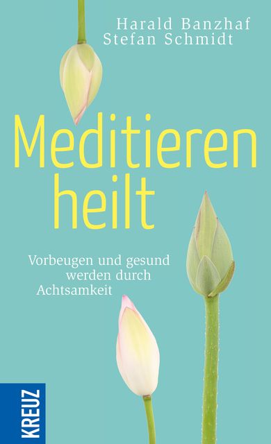 Meditieren heilt, Stefan Schmidt, Harald Banzhaf