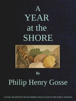 A Year at the Shore, Philip Henry Gosse