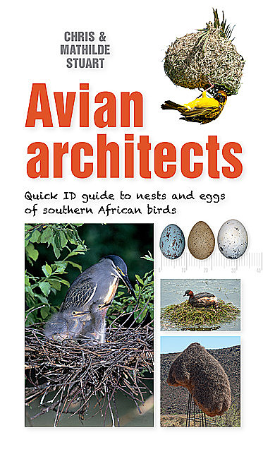 Quick ID Guide – Avian Architects, Chris Stuart, Mathilde Stuart