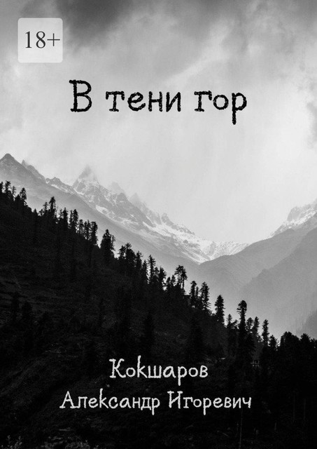 В тени гор, Александр Кокшаров