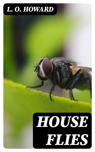 House Flies, L.O. Howard
