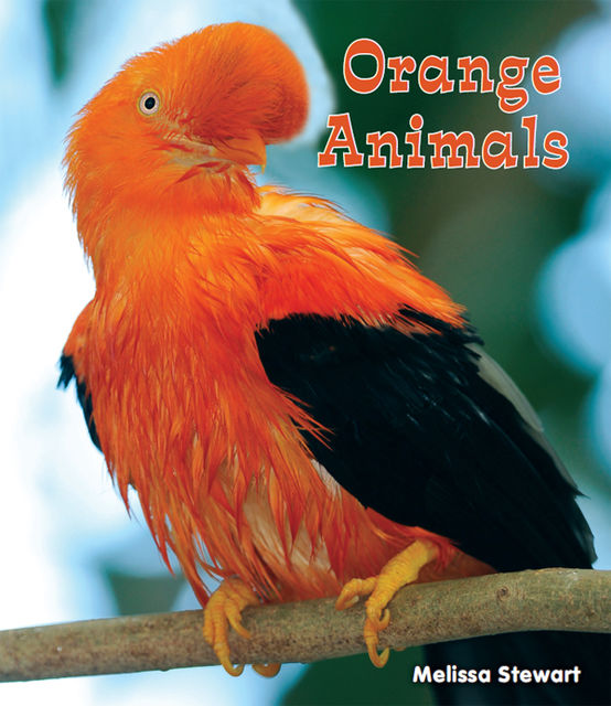 Orange Animals, Melissa Stewart