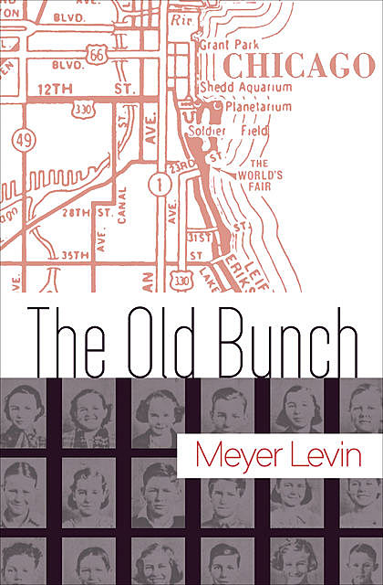 The Old Bunch, Meyer Levin
