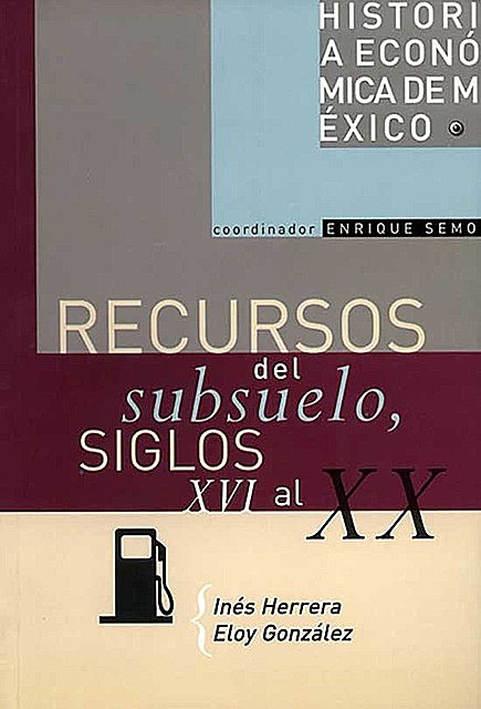 Recursos del subsuelo, siglos XVI al XX, Eloy González, Inés Herrera