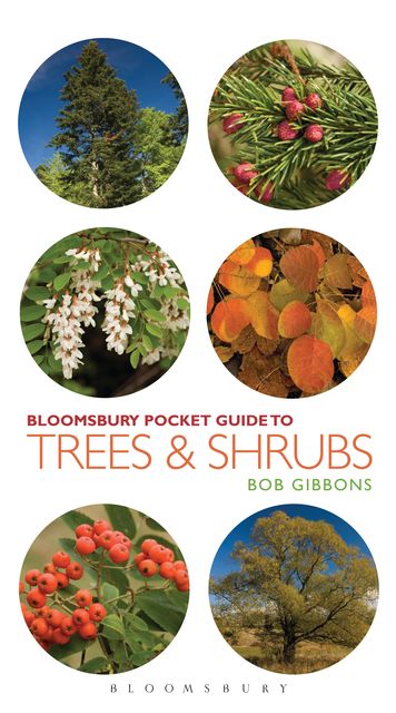 Pocket Guide to Trees & Shrubs, Bob Gibbons