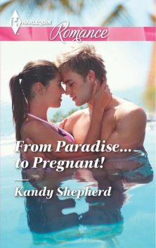 From Paradise . . . to Pregnant, Kandy Shepherd