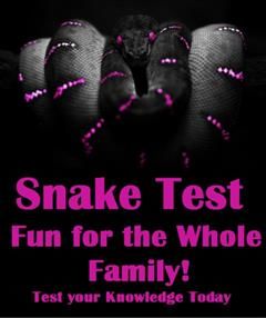 Snake Test Fun for the Whole Family, Nature Childrens eBooks