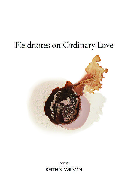 Fieldnotes on Ordinary Love, Keith Wilson